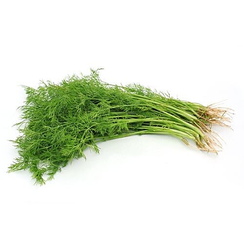 Buy Fresho Dill Leaves Organically Grown Online At Best Price Of Rs