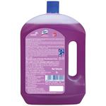 Buy Lizol Disinfectant Surface Cleaner Citrus 2 L Floor Cleaner