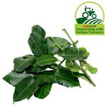 Buy Fresho Lime Leaves Kaffir Online At Best Price Of Rs 133 Bigbasket