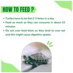 Buy Taiyo Pluss Discovery Premium Turtle Food With Spirulina Vitamin