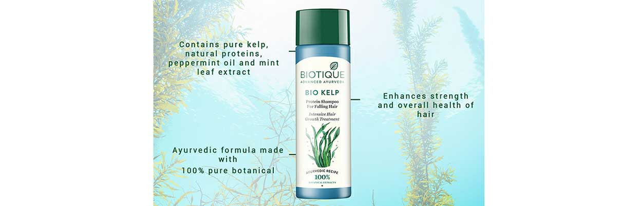 Buy Biotique Bio Kelp Fresh Growth Protein Shampoo 190 Ml Online at the  Best Price of Rs  - bigbasket