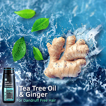 Tea Tree Oil for Hair with Ginger Oil for Dandruff -250ml