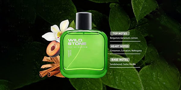 Wild Stone Forest Spice Spray Perfume For Men 100 ml ( Fs )