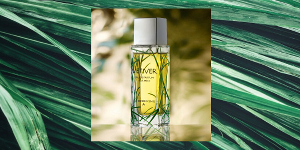 Vetiver scent description hot sale