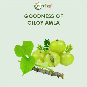 Buy Nutriorg Giloy With Amla Juice Online at Best Price of Rs 299 ...