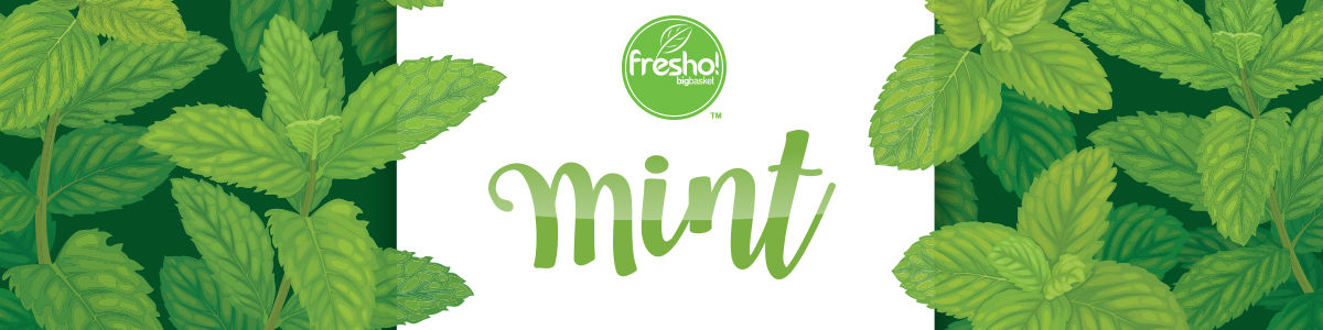 Buy Fresho Mint Organically Grown 100 Gm Online At Best Price of