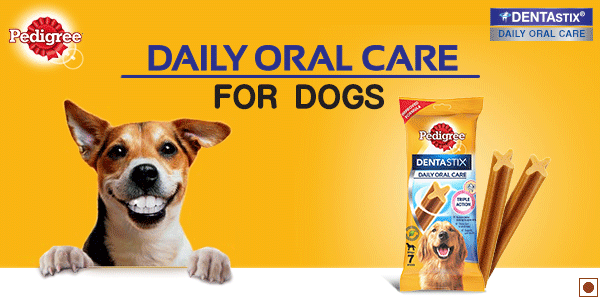 are pedigrees dentastix safe for dogs