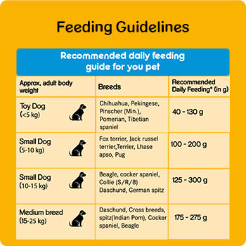 Buy Pedigree Puppy Small Dog Dry Food - Lamb & Milk Flavour Online at ...