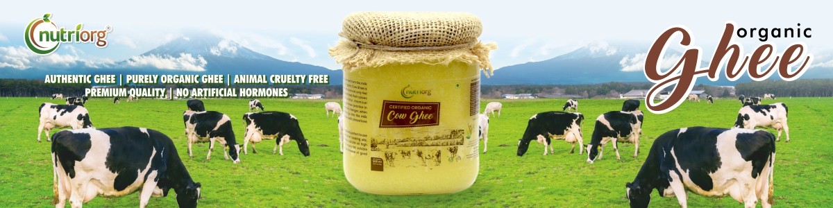 Buy Nutriorg Certified Organic Cow Ghee Online at Best Price of Rs 710 ...