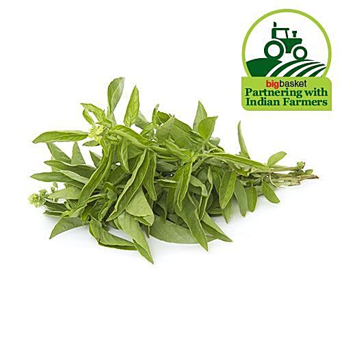 Buy Fresho Basil Italian 100 Gm Online At Best Price of Rs 15