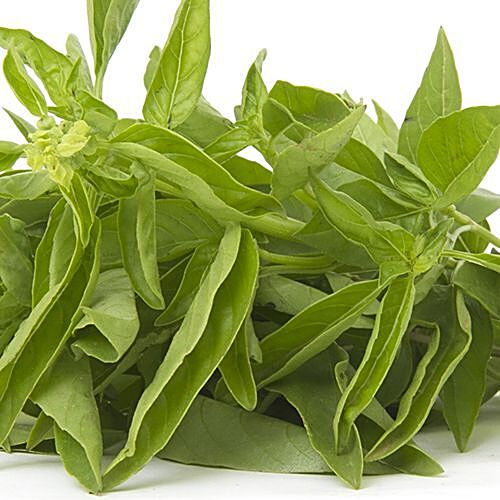 Buy Fresho Basil Italian 1 Kg Online At Best Price of Rs 261.34