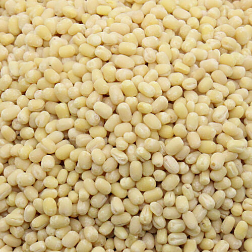 JSN Urad Gota Desi, Unpolished Mature Pulses For Easy Cooking & Rich Flavour, 500 g Pouch