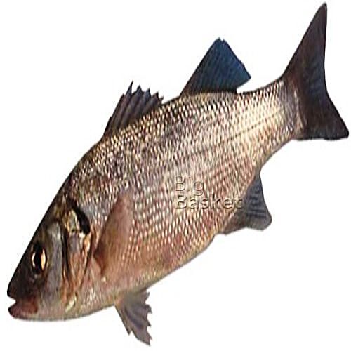 buy-fresho-sea-bass-fish-curry-cut-bengali-cut-bhetki-online-at-best