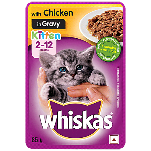 Best wet cat shop food with gravy