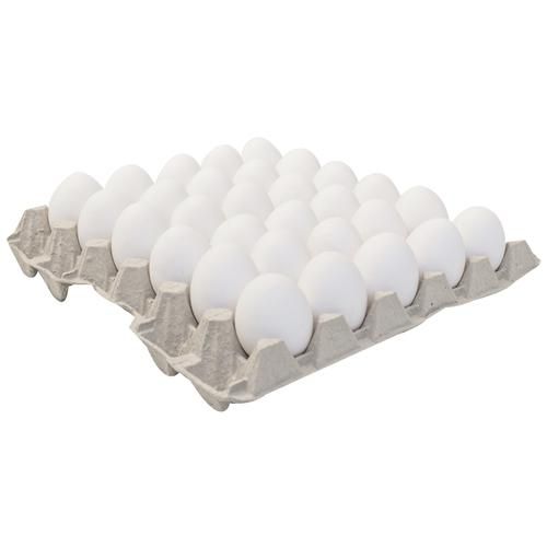 Egg Tray - Buy Egg Tray Online Starting at Just ₹151