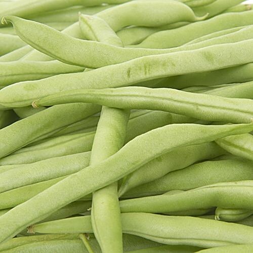 Buy Fresho Beans French Round 500 Gm Online At Best Price of Rs 40 ...