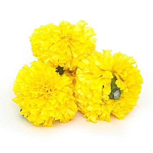 Buy Fresho Marigold Yellow 1 Kg Online At Best Price of Rs 60 - bigbasket