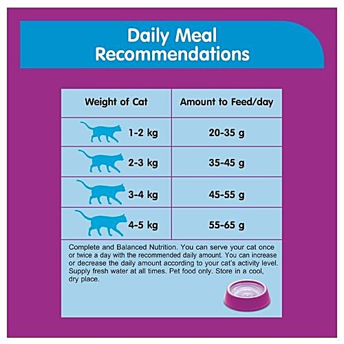 Buy Whiskas Pet Food Salmon Pockets Ocean Fish Flavor 480 Gm Online At ...