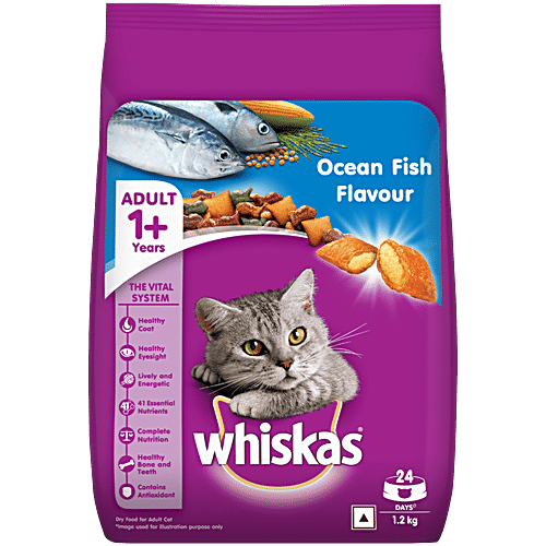 Buy Whiskas Adult Food Ocean Fish 12 Kg Online At Best Price of Rs 440.55 bigbasket