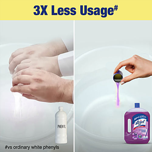 Buy Lizol Disinfectant Surface Cleaner - Citrus 2 L + Floor Cleaner -  Lavender 2 L Combo (2 Items) Online at Best Price. of Rs 801.84 - bigbasket