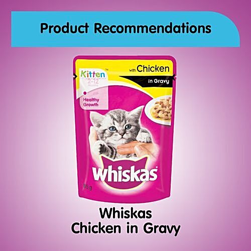 Buy Whiskas Wet Cat Food Tuna Flavour In Jelly For Kittens 2 12 Months 85 Gm Pouch Online at the