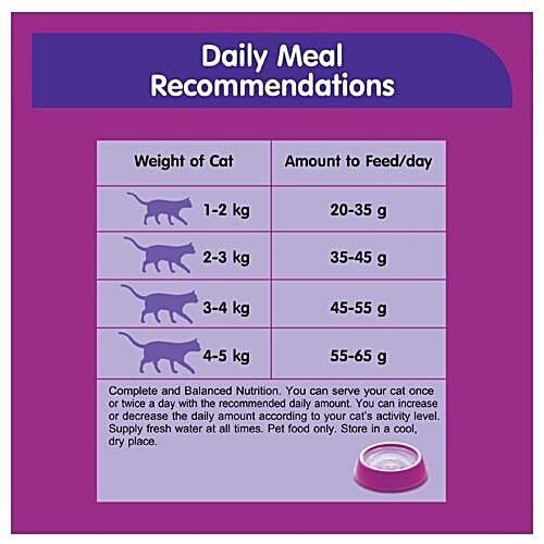 Cat food 2024 per day