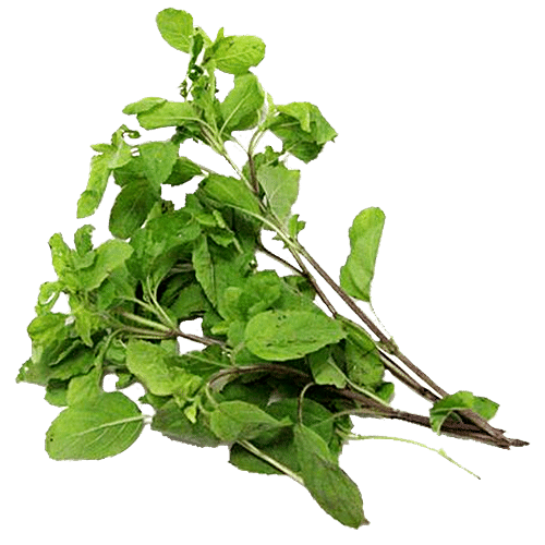 Buy Fresho Tulsi Leaves Online at Best Price of Rs 20 bigbasket