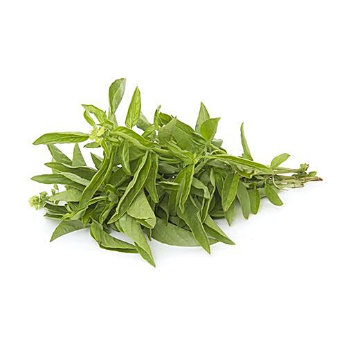 Buy Fresho Basil Italian 100 Gm Online At Best Price of Rs 15