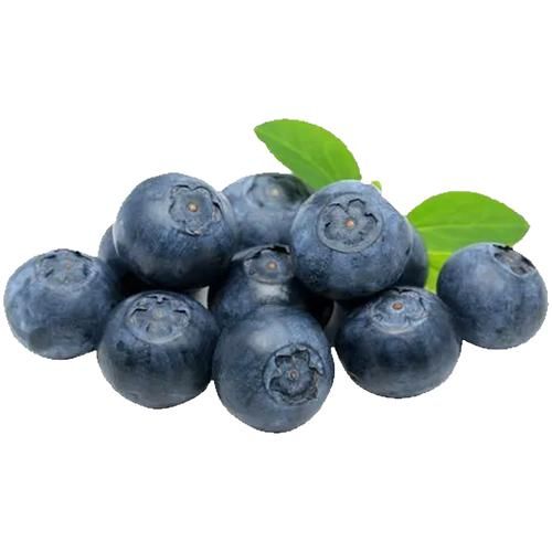 fresho! Blueberry, 125 g  Rich in Antioxidants