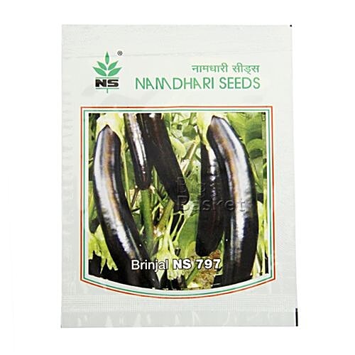 Buy Namdhari Seeds Kitchen Garden Brinjal 5 Gm Online At Best Price of ...