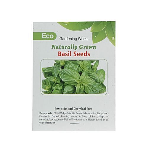 Buy Eco Naturally Grown Italian Basil Seeds 25 Seeds Pouch Online