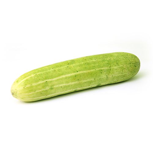 https://www.bigbasket.com/media/uploads/p/l/40022639-3_1-fresho-cucumber-organically-grown.jpg