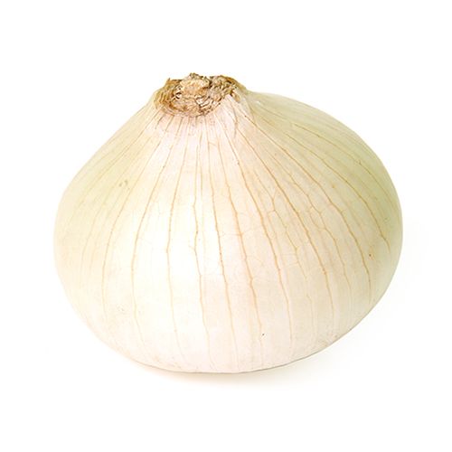 Buy Fresho Onion White - Organically Grown Online at Best Price of Rs ...