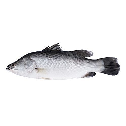 Buy Fresho Mackerel Fish Large Cleaned Whole 500 Gm Online At Best