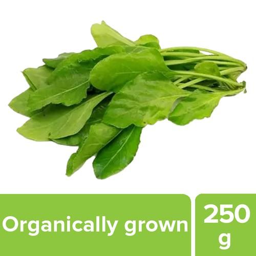 Buy Fresho Palak Organically Grown 250 Gm Online At Best Price of Rs 14 -  bigbasket