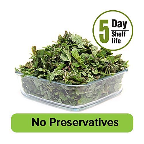 Fresh Mint Leaves, 100g : : Grocery & Gourmet Foods