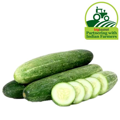 Cucumber Panty For Baby Girls Price in India - Buy Cucumber Panty
