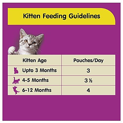 Buy Whiskas Wet Pet Food - For Kitten, 2-12 Months, Chicken in Gravy ...