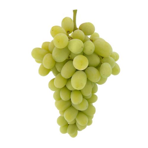 https://www.bigbasket.com/media/uploads/p/l/40087301_2-fresho-grapes-green-seedless-imported.jpg