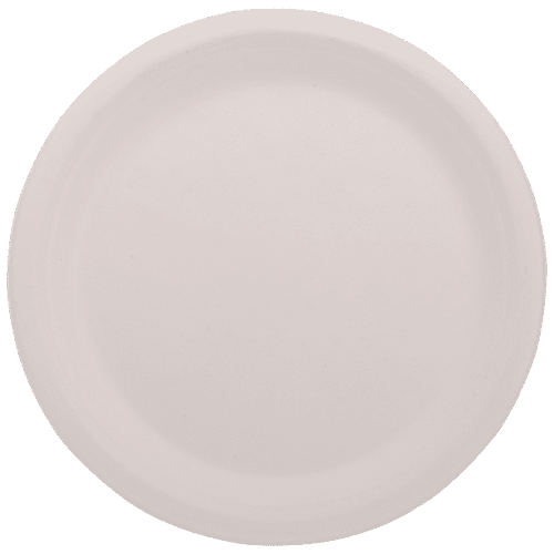 Pack of 120 Compostable Paper Plates 25.4 cm, Disposable Plates Durable  Natural Bagasse Plates, Party Plates