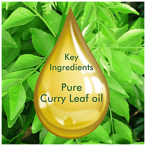 Buy Organic Harvest Curry Leaf Essential Oil Online at Best Price of Rs ...