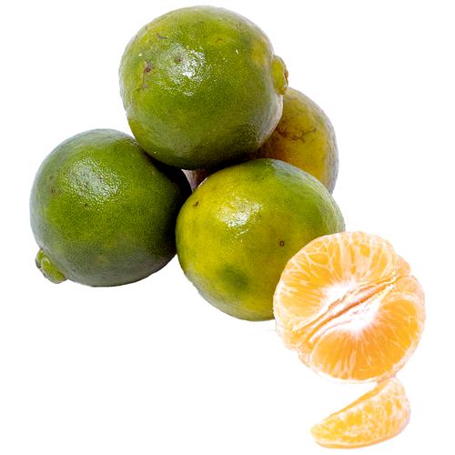 Buy Fresho Orange - Nagpur, Small Online at Best Price of Rs 242.50 ...