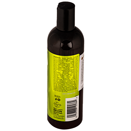 Buy DELON Shampoo - With Avocado Oil 354 ml Online at Best Price. of Rs ...