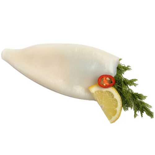 Wholesale 80cm 6g Floating Sutte Squid