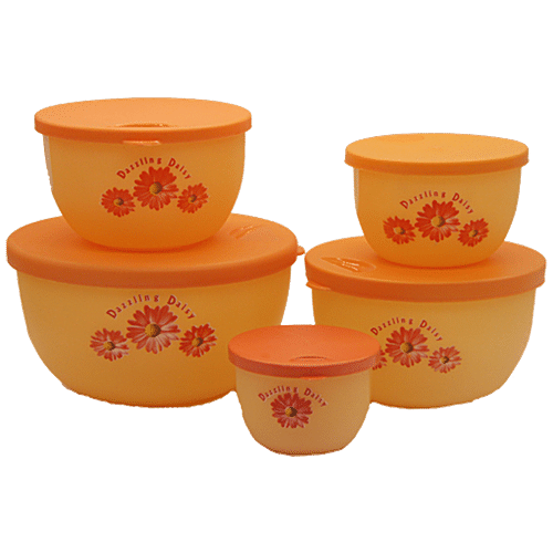 Buy Joyo Alfa Container Set Assorted 5 Pcs Online At Best Price of Rs ...