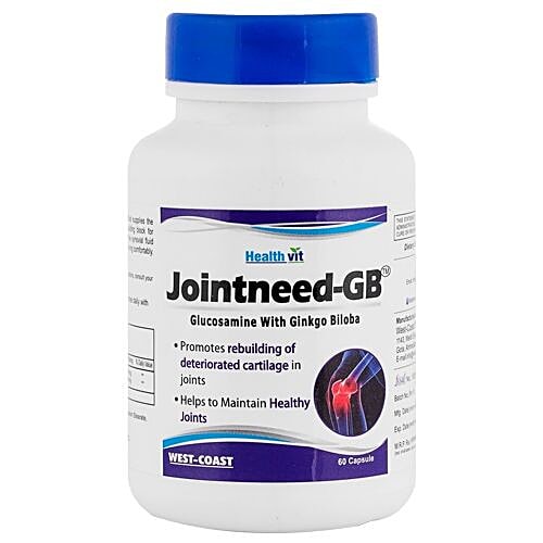 Buy Healthvit Capsules - Jointneed-GB, Glucosamine With Ginkgo Biloba ...