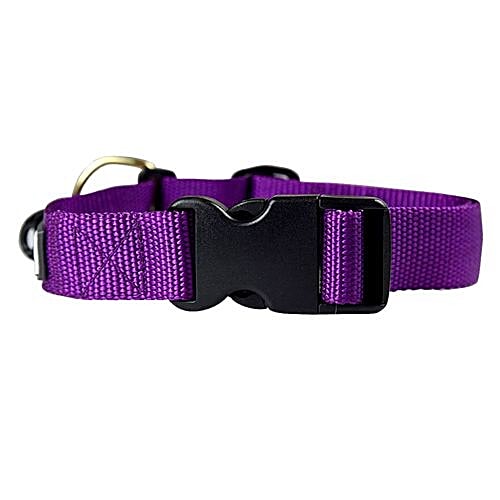 Buy Heads Up For Tails Dog Collar - M, Nylon, Purple, Classic Online At 