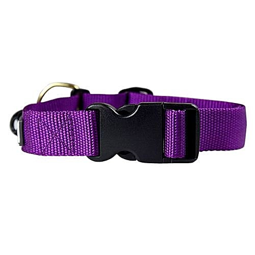 Buy Heads up for tails Dog Collar - L, Nylon, Purple, Classic Online at ...