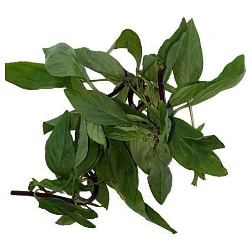 Buy Trikaya Thai Sweet Basil Online at Best Price of Rs null