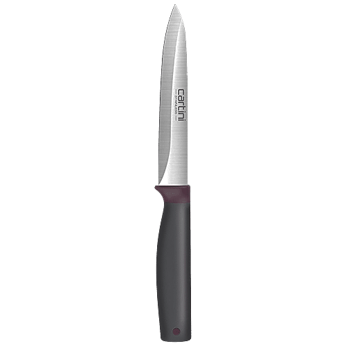 https://www.bigbasket.com/media/uploads/p/l/40157946_2-cartini-by-godrej-stainless-steel-salad-knife-with-steel-gray-handle.jpg